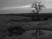 Texas prairie scene